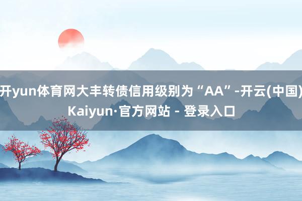 开yun体育网大丰转债信用级别为“AA”-开云(中国)Kaiyun·官方网站 - 登录入口